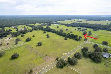 14 Eagle Ridge Bushnell FL 33513