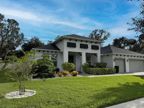 14110 Tomentosa Avenue Riverview FL 33569
