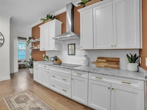 14110 Tomentosa Avenue Riverview FL 33569