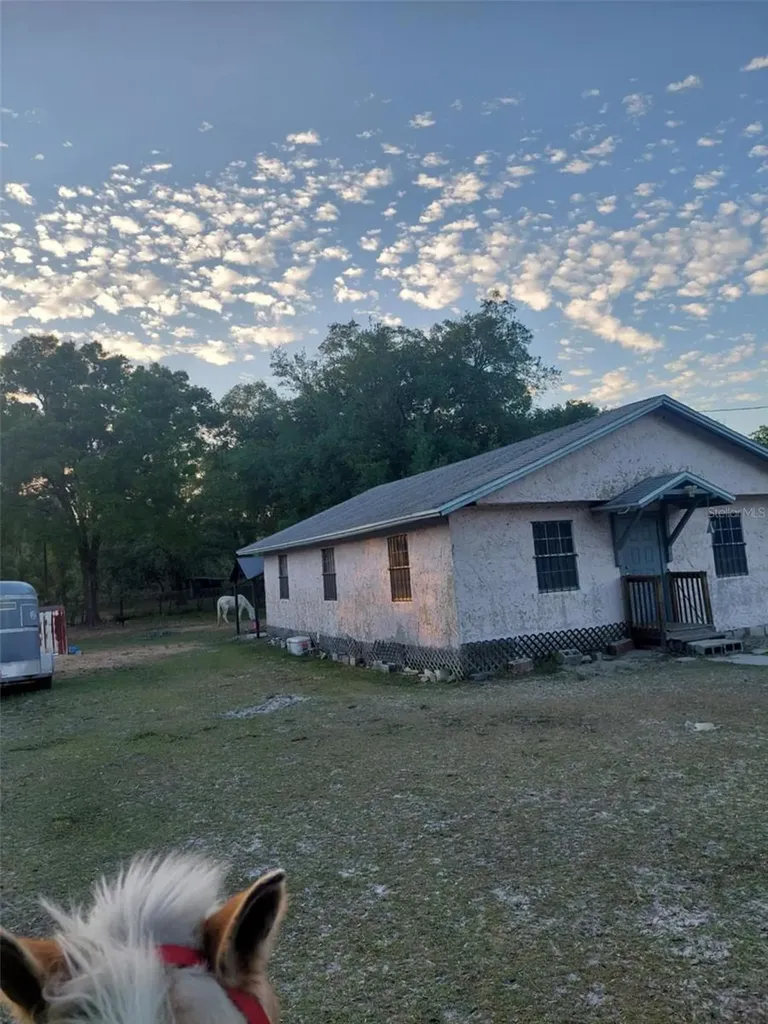 14016 N. Highway 301 Thonotosassa FL 33592