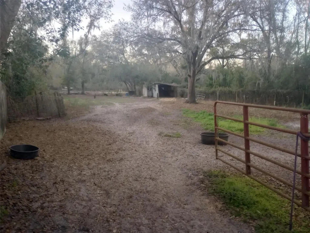 14016 N. Highway 301 Thonotosassa FL 33592