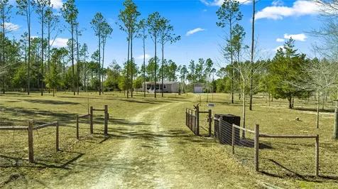5130 SE 137th Avenue Morriston FL 32668