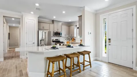 3910 Immacolata Way Wesley Chapel FL 33543