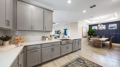3910 Immacolata Way Wesley Chapel FL 33543