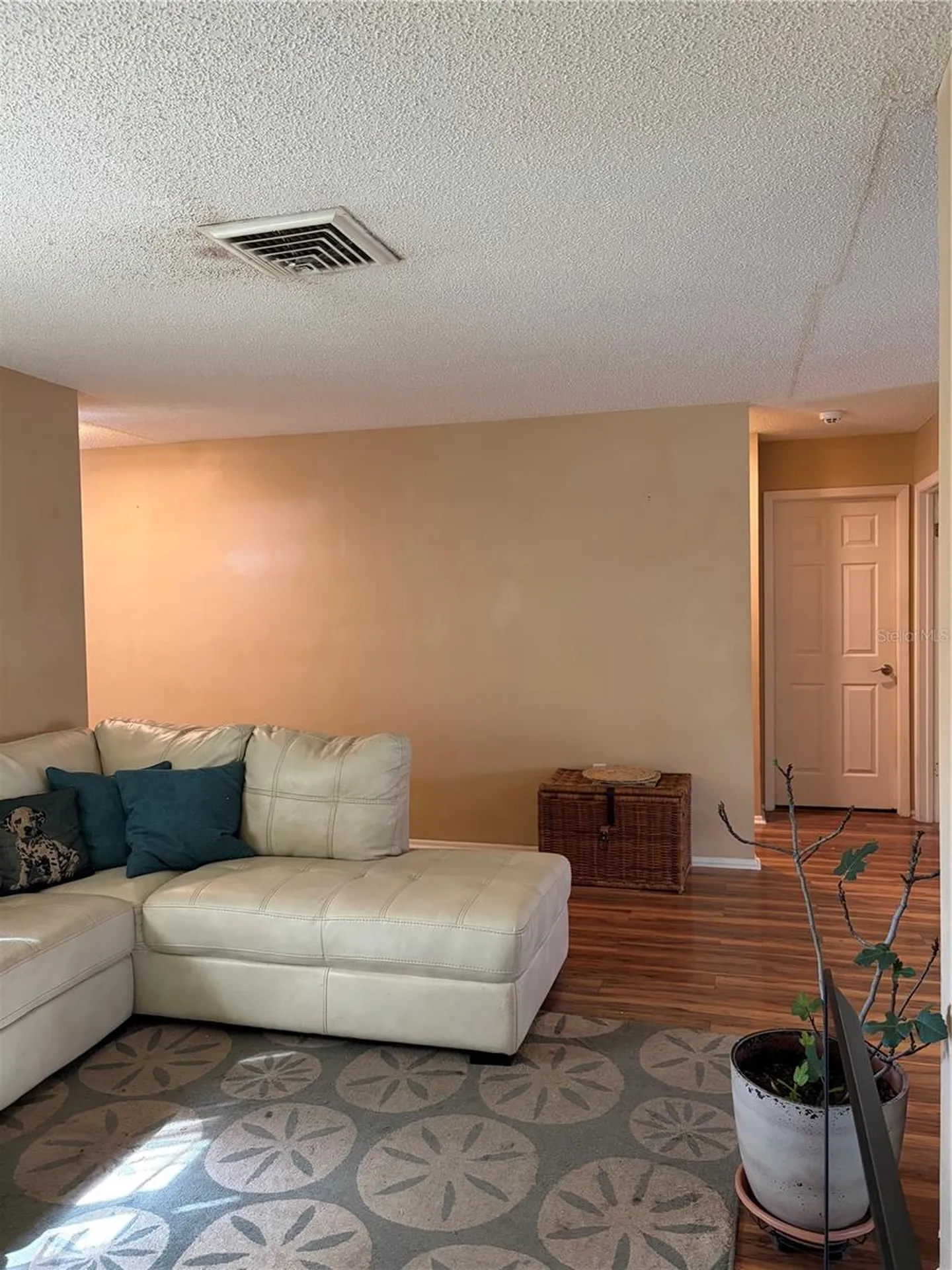 1362 Waterfall Drive Spring Hill FL 34608