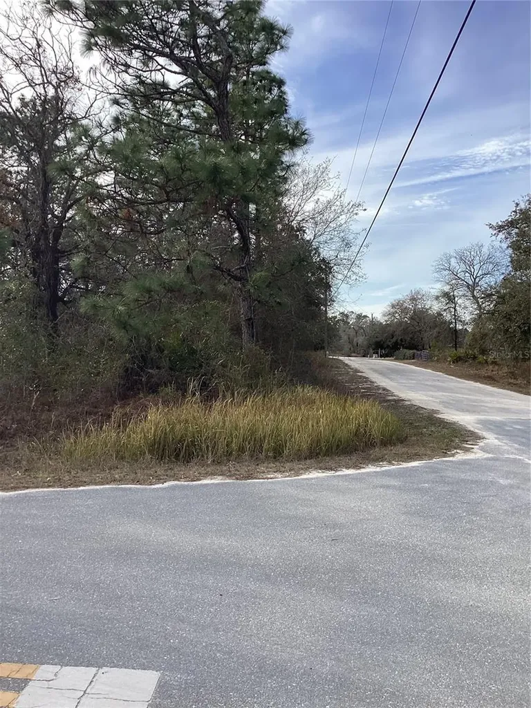 12449 Indigo Bunting Weeki Wachee FL 34614