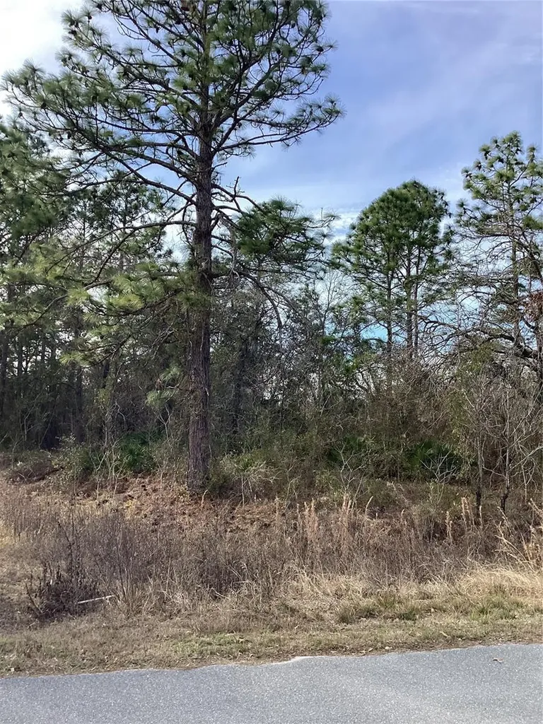12449 Indigo Bunting Weeki Wachee FL 34614