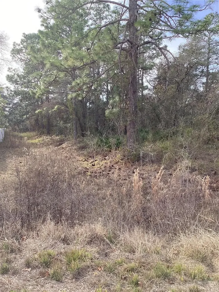 12449 Indigo Bunting Weeki Wachee FL 34614