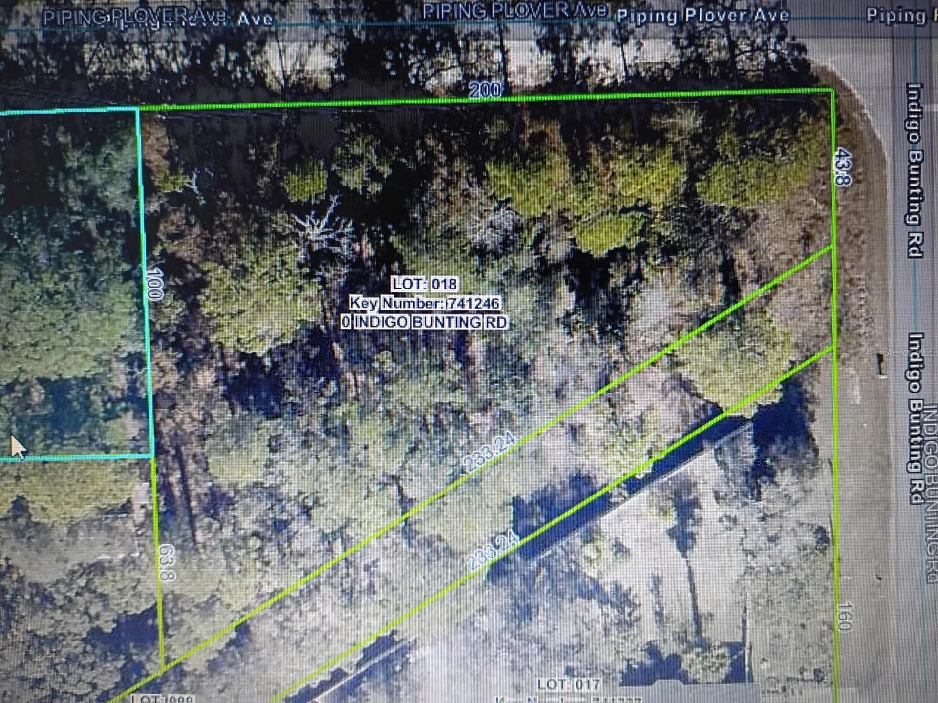 12449 Indigo Bunting Weeki Wachee FL 34614