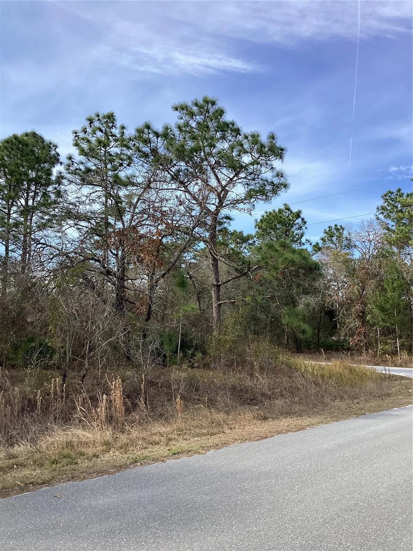 12449 Indigo Bunting Weeki Wachee FL 34614