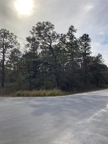 12449 Indigo Bunting Weeki Wachee FL 34614