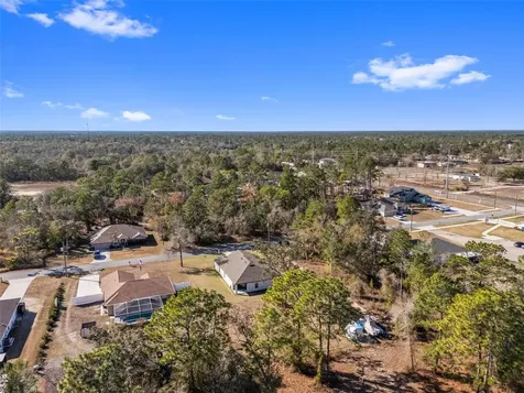 11014 Golden Warlber Brooksville FL 34613