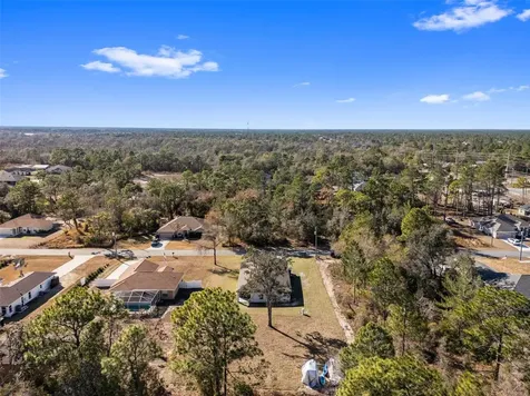 11014 Golden Warlber Brooksville FL 34613