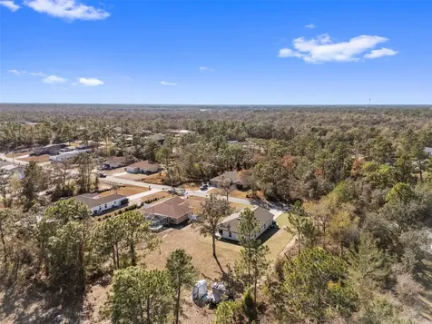11014 Golden Warlber Brooksville FL 34613