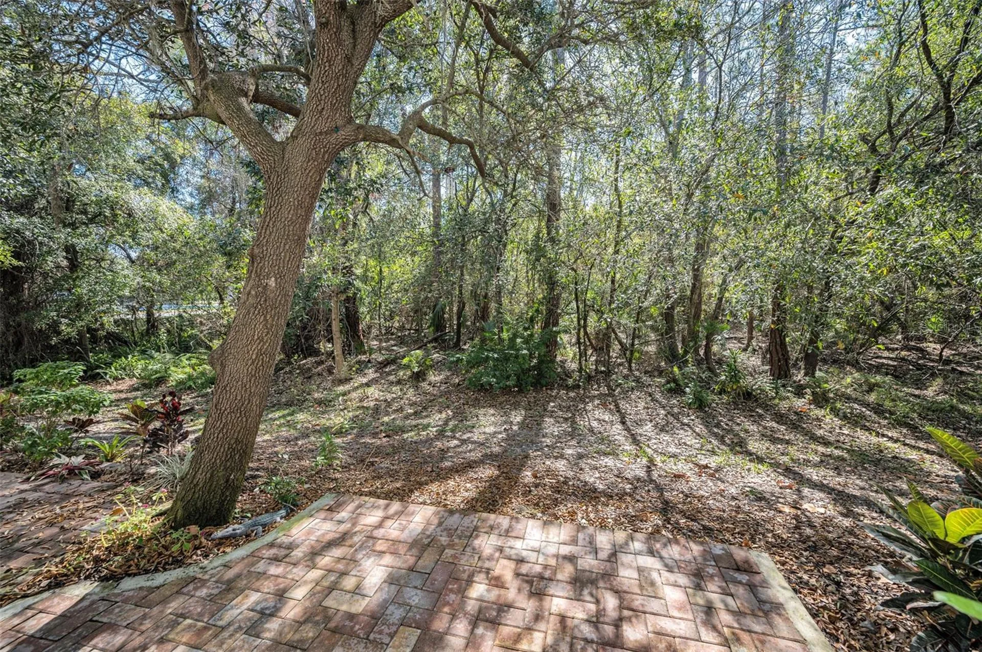 9614 Charlesberg Drive Tampa FL 33635