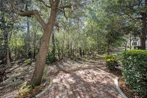 9614 Charlesberg Drive Tampa FL 33635
