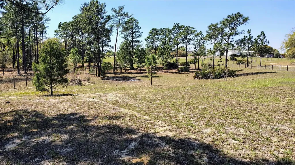 15971 SE 108th Loop Ocklawaha FL 32179