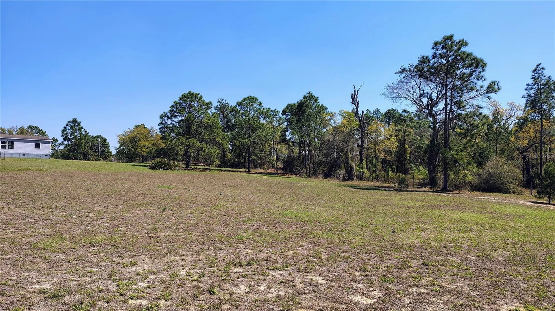15971 SE 108th Loop Ocklawaha FL 32179
