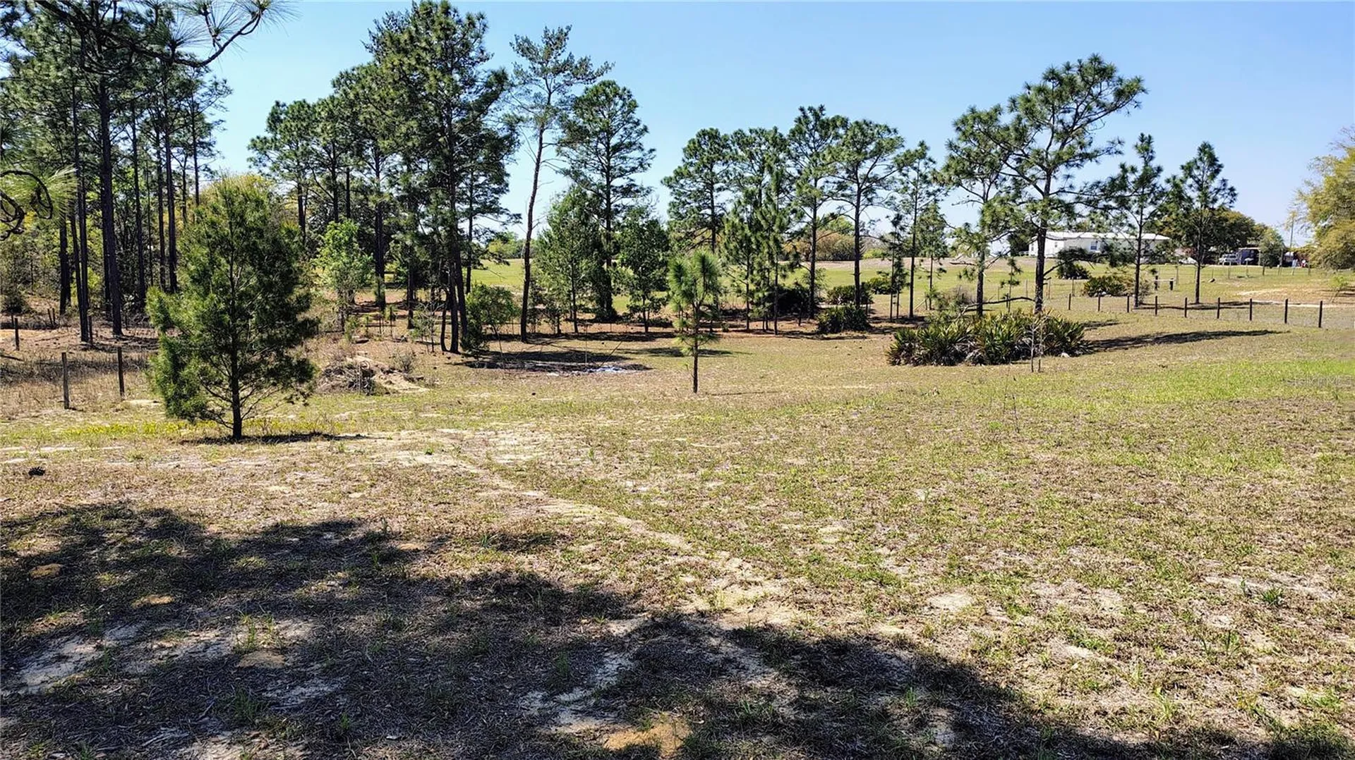 15971 SE 108th Loop Ocklawaha FL 32179