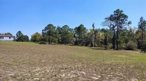 15971 SE 108th Loop Ocklawaha FL 32179