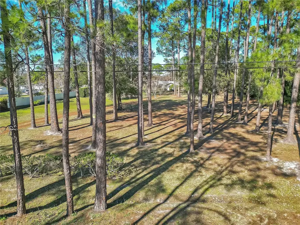 11451 Fangorn Road Orlando FL 32825