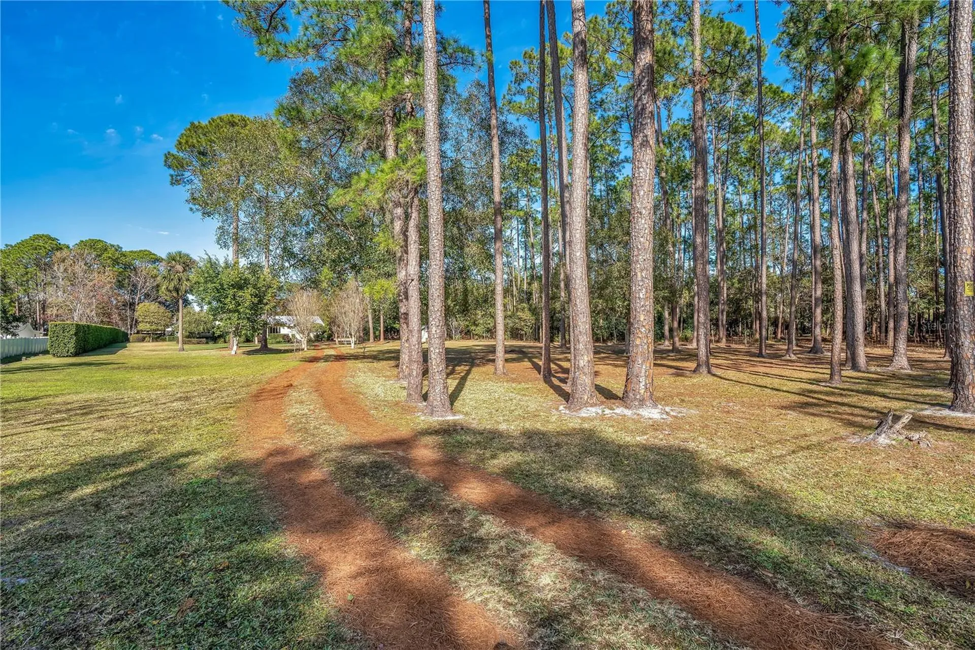 11451 Fangorn Road Orlando FL 32825