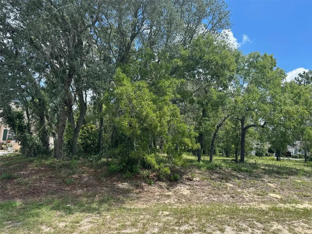 13 Deerwood Drive Homosassa FL 34446