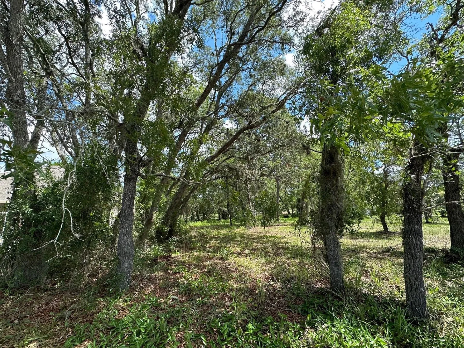13 Deerwood Drive Homosassa FL 34446