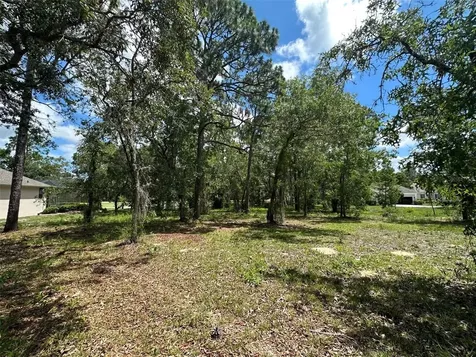 13 Deerwood Drive Homosassa FL 34446
