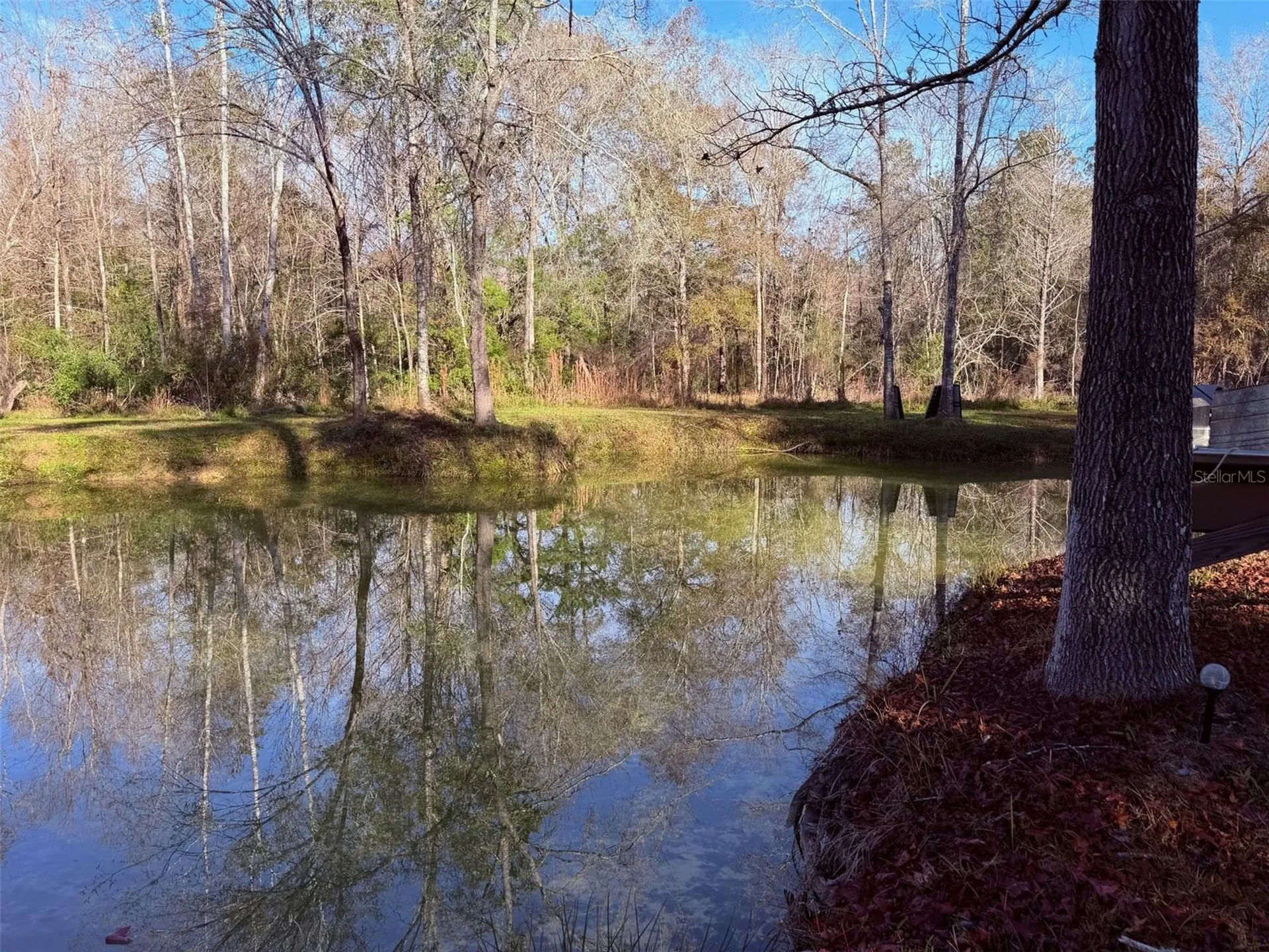 Off NW 10 Place Chiefland FL 32626