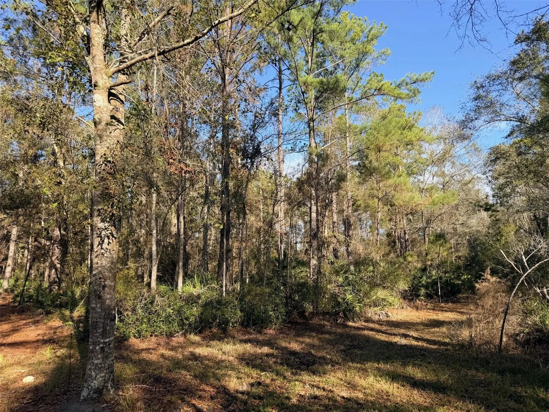 Off NW 10 Place Chiefland FL 32626