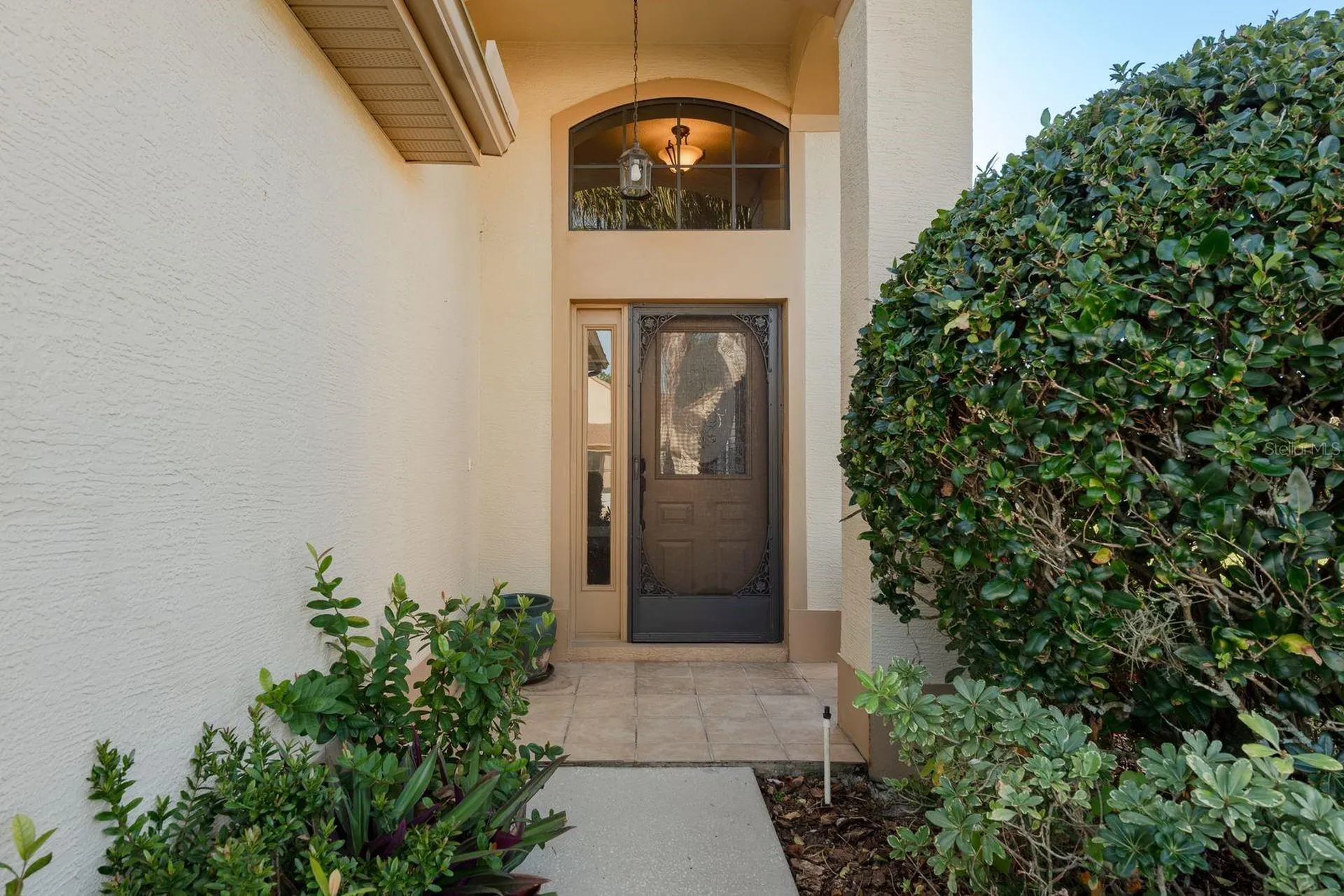 9326 Palm Haven Court New Port Richey FL 34655