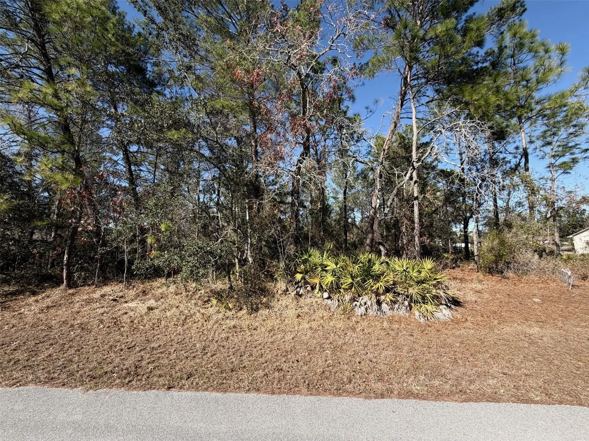 0 Fool Duck Avenue Weeki Wachee FL 34613