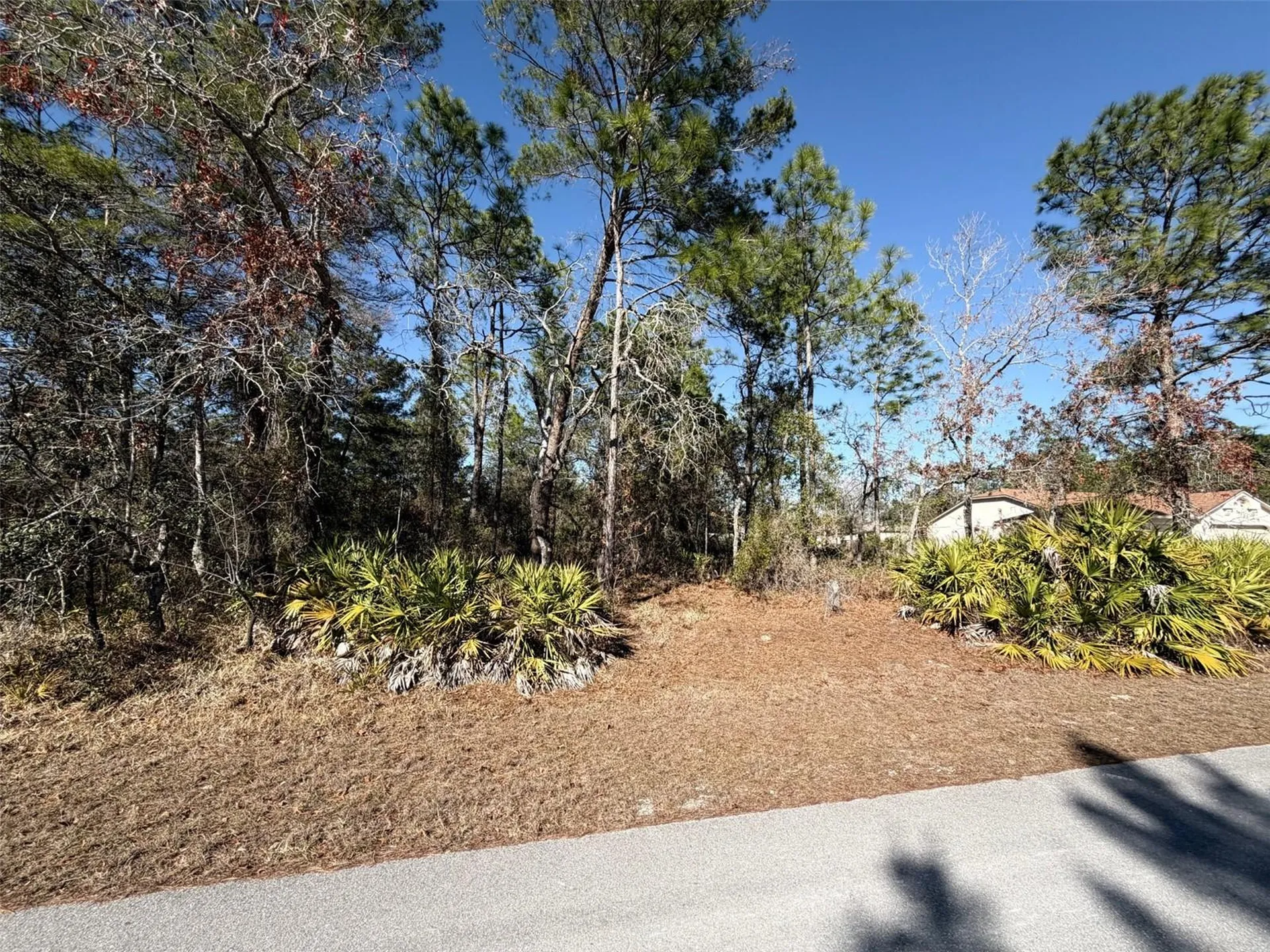 0 Fool Duck Avenue Weeki Wachee FL 34613