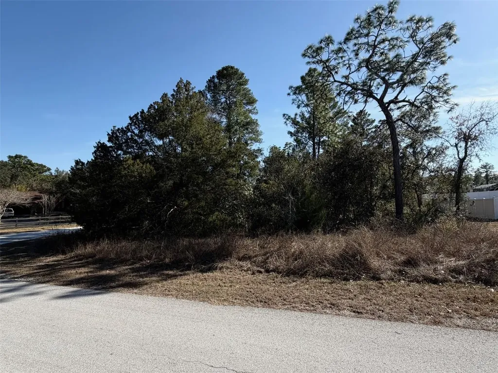 0 Gyrafalcon Avenue Weeki Wachee FL 34613