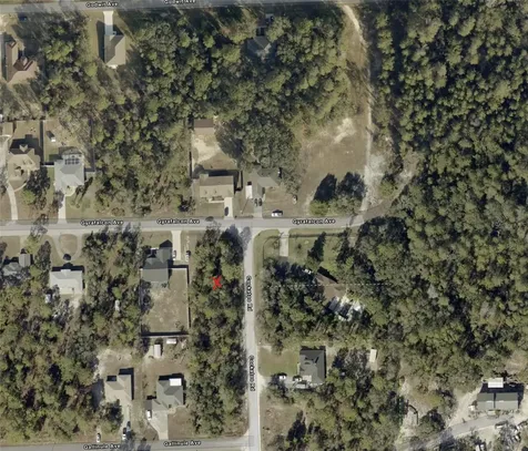 0 Gyrafalcon Avenue Weeki Wachee FL 34613