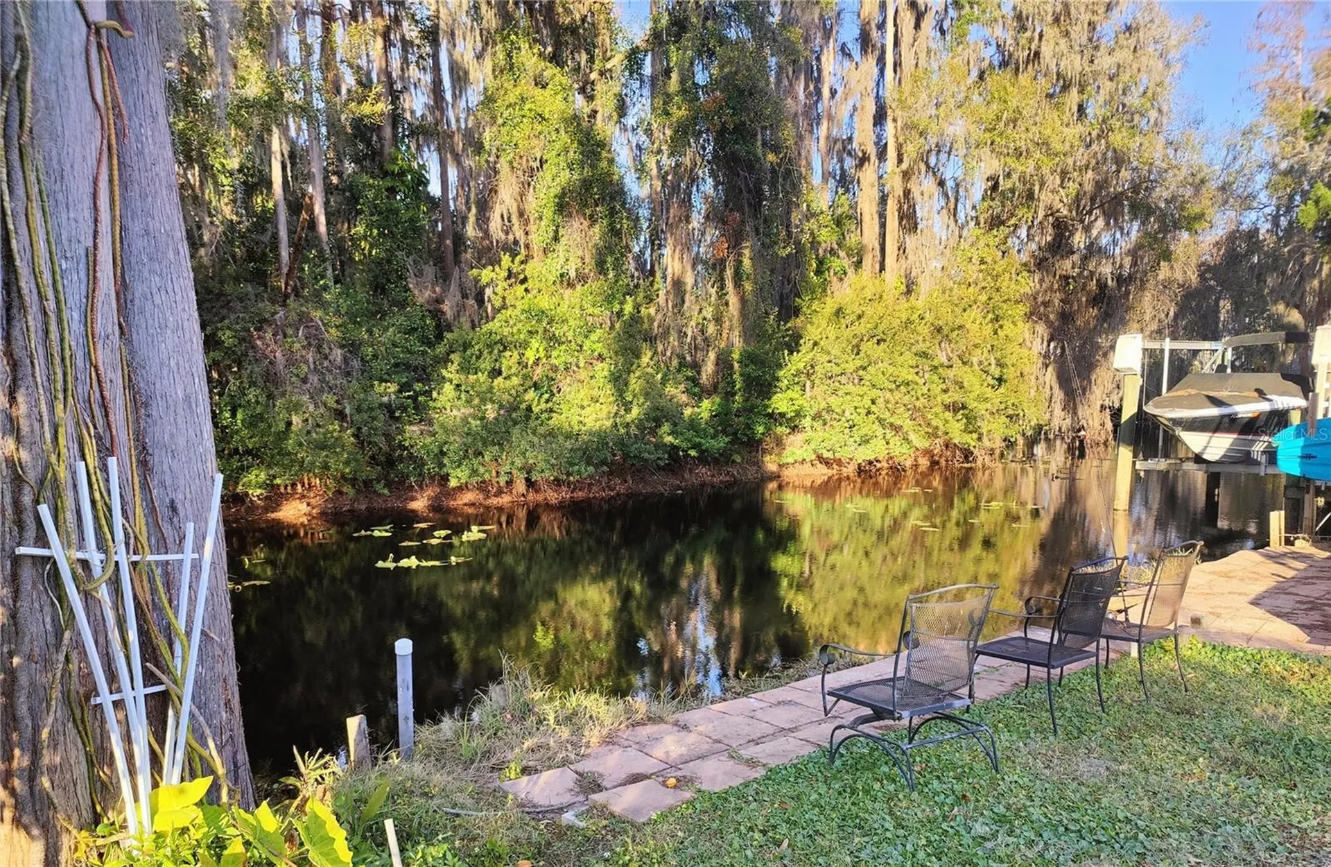 12131 Lacey Drive New Port Richey FL 34654