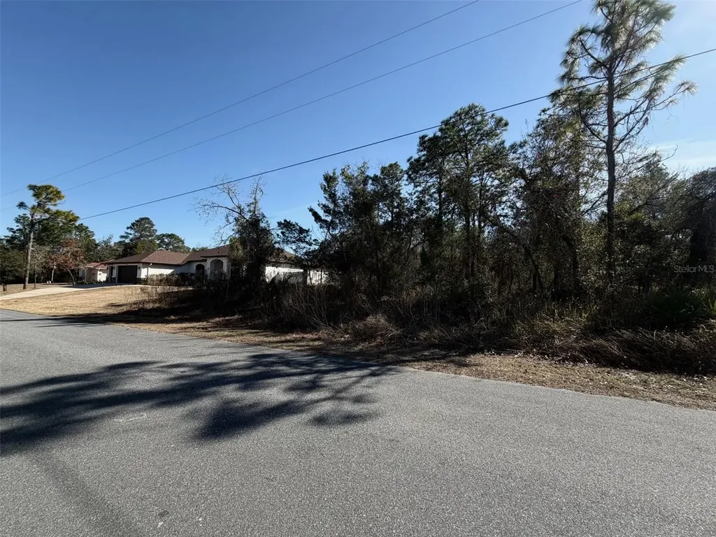 0 Godwit Avenue Weeki Wachee FL 34613