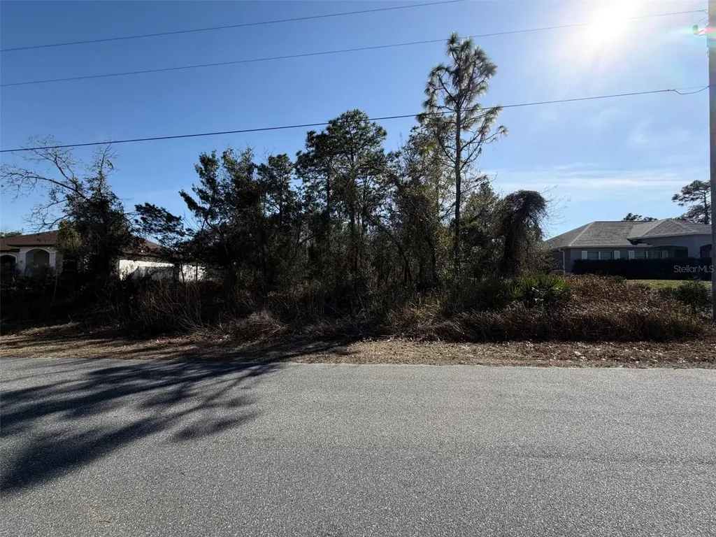 0 Godwit Avenue Weeki Wachee FL 34613