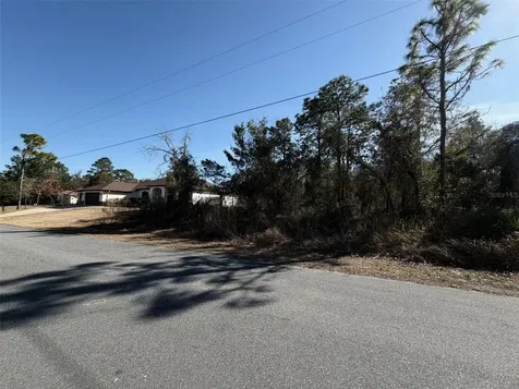 0 Godwit Avenue Weeki Wachee FL 34613