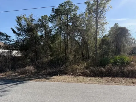 0 Godwit Avenue Weeki Wachee FL 34613