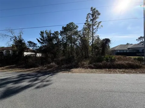 0 Godwit Avenue Weeki Wachee FL 34613