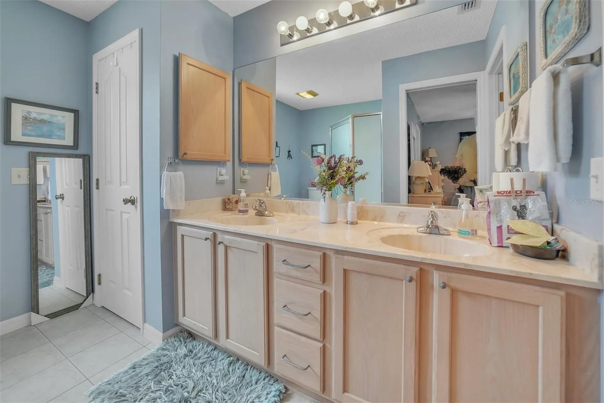 8371 SE 168th Trinity Place The Villages FL 32162