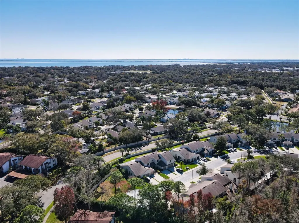 602 Quail Keep Drive Safety Harbor FL 34695