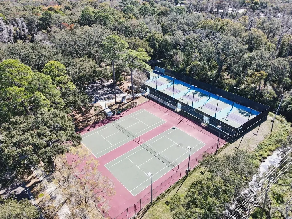 602 Quail Keep Drive Safety Harbor FL 34695