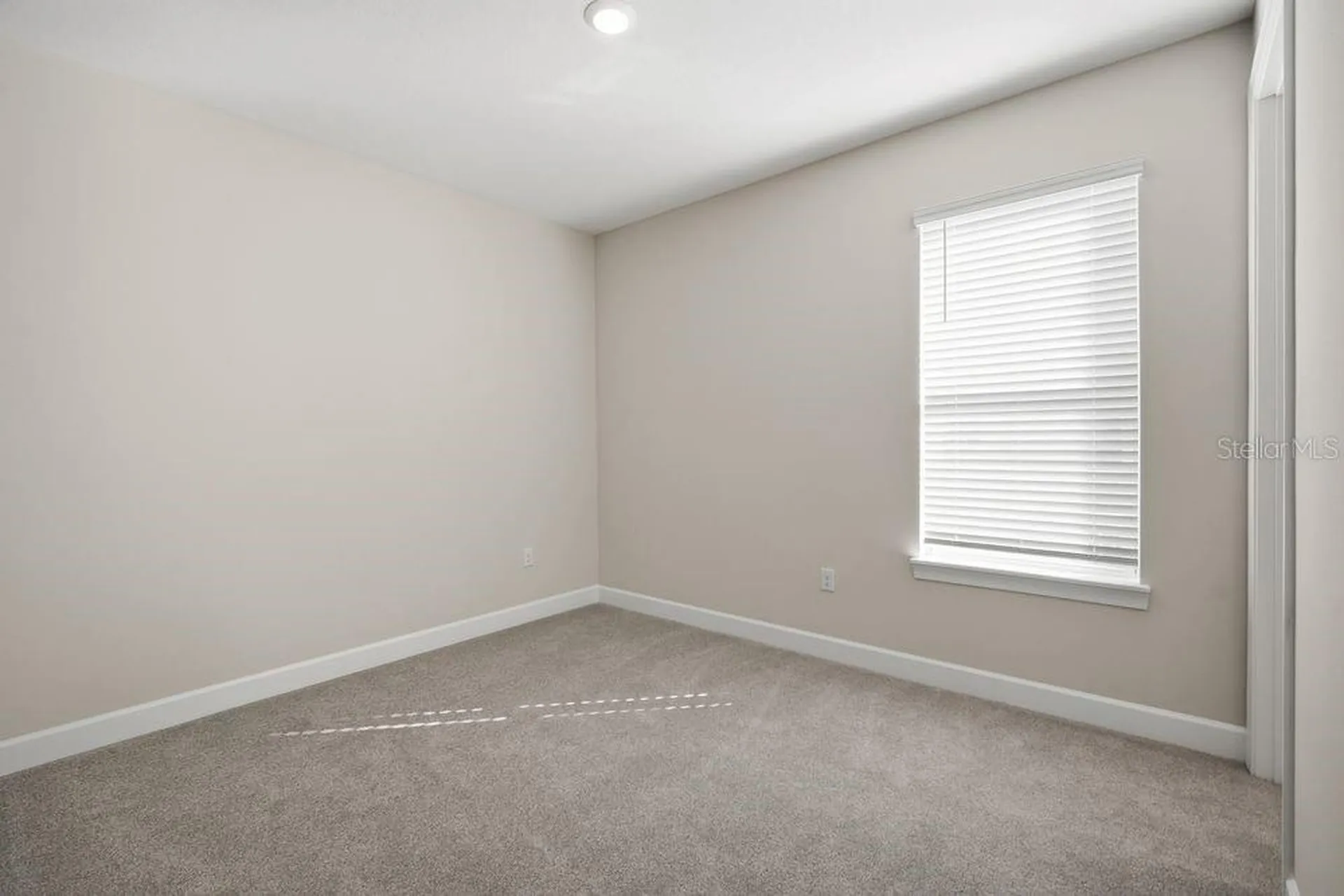 30167 Imperati Boulevard Wesley Chapel FL 33543
