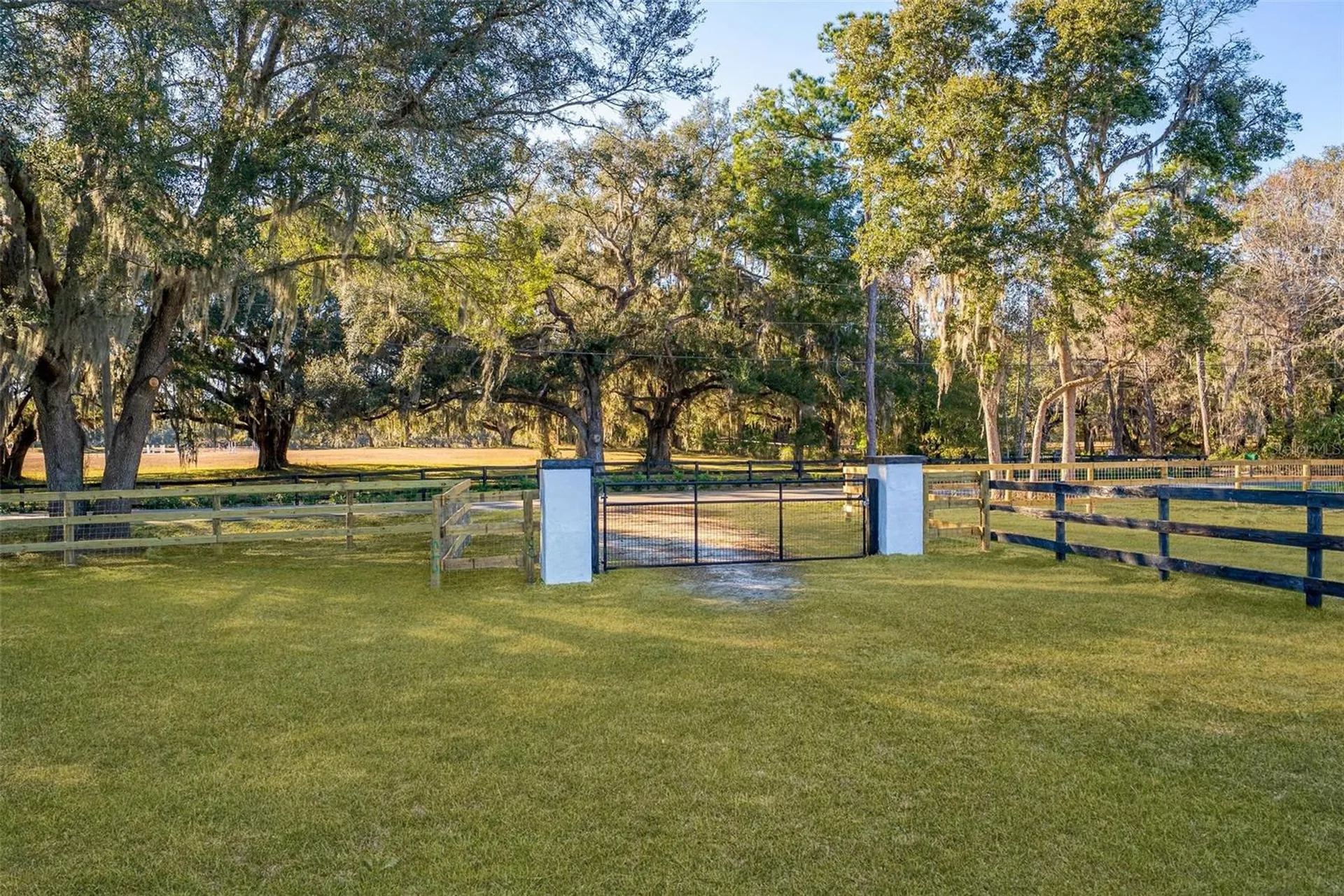 8245 NW 137th Avenue Morriston FL 32668