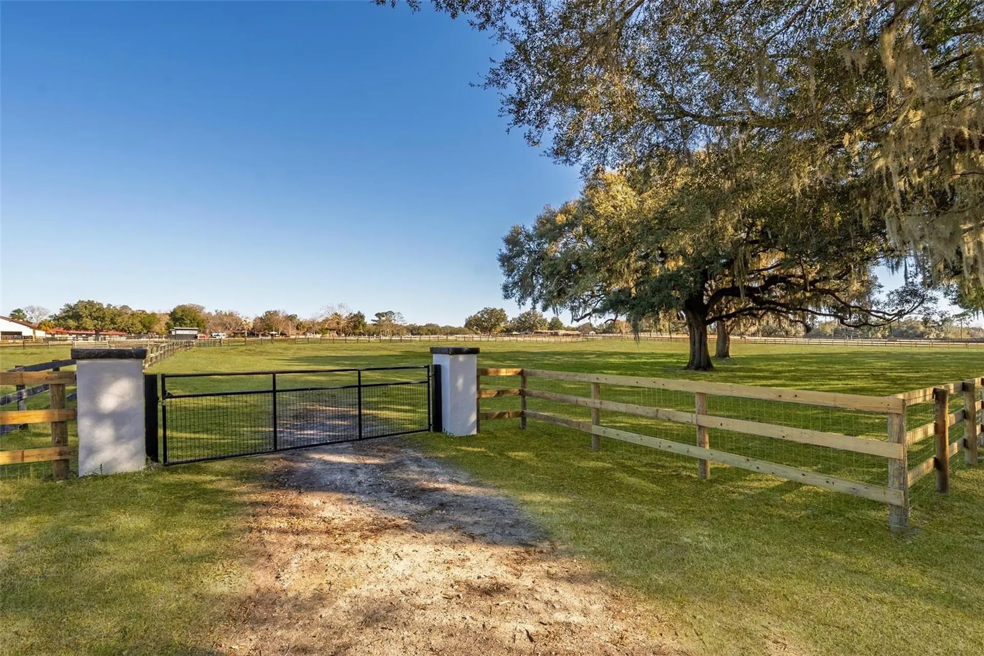 8245 NW 137th Avenue Morriston FL 32668