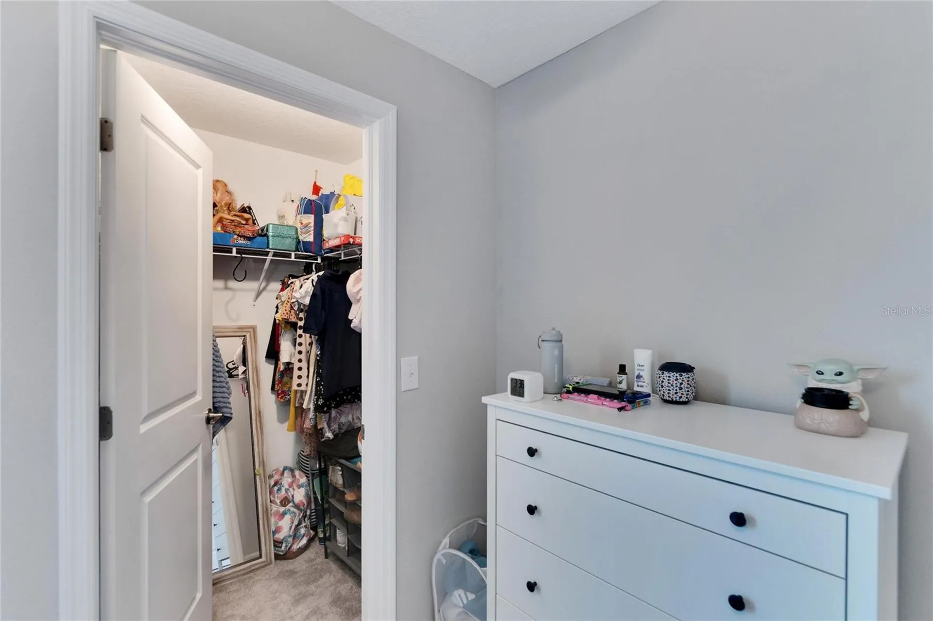 3107 Oyster Cove Street Wimauma FL 33598