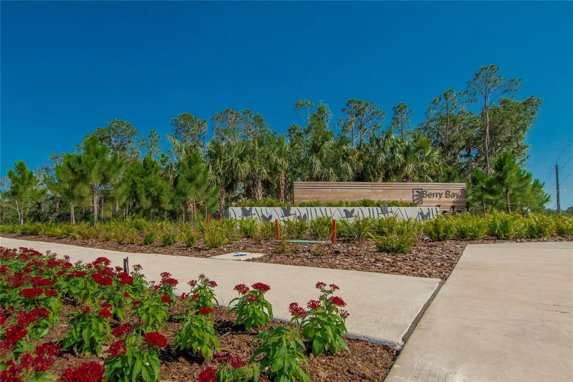 3107 Oyster Cove Street Wimauma FL 33598